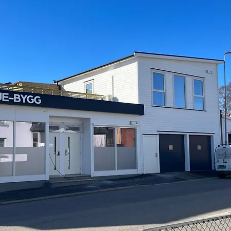 Roof House, Downtown In Lejlighed Sandefjord