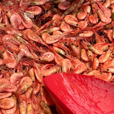 Roof House, Downtown In Lägenhet Sandefjord