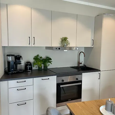 Lägenhet Roof House, Downtown In Sandefjord