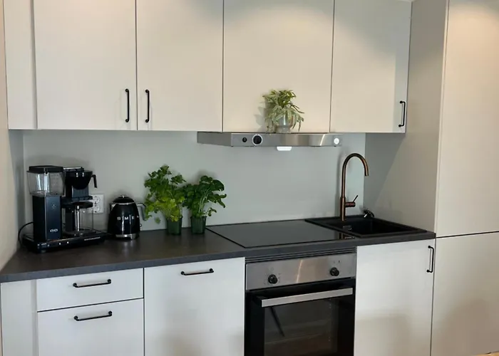 Appartement Roof House, Downtown In Sandefjord